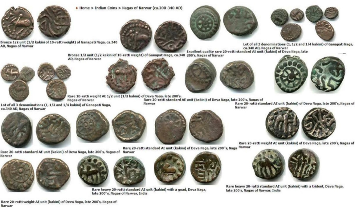 Not-Your-Usual-Weird-Ancient-Coin---Nagas-Of-Narwar?
